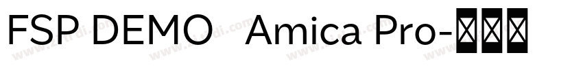 FSP DEMO   Amica Pro字体转换